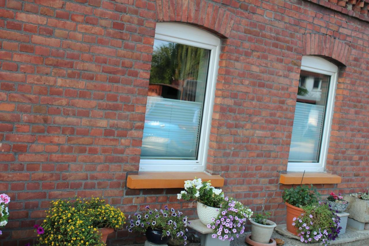 Apartment Hanske Isenbüttel Kültér fotó